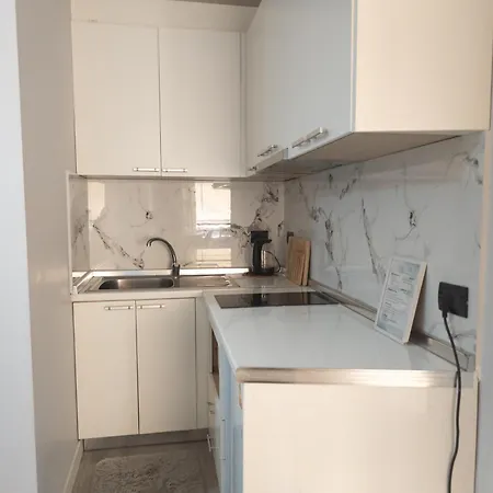 Green Studio Apartment